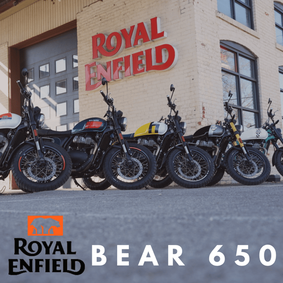 BEAR 650 (Instagram Post)