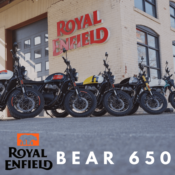BEAR 650 (Instagram Post)