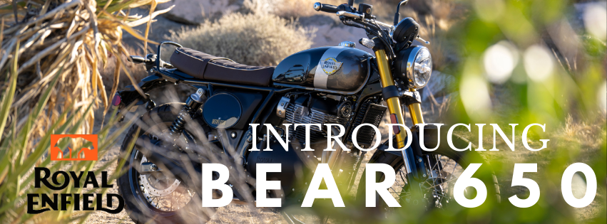 HEADER BEAR 650